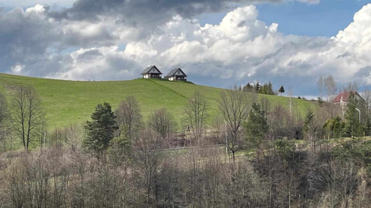 Zielone Wzgorze 606-819-046 Holiday home Polanczyk